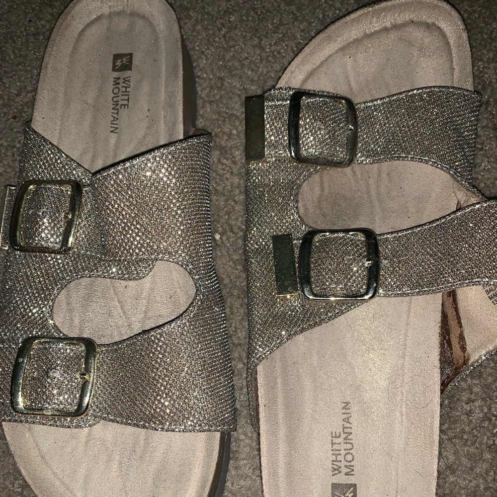 White Mountain Slides